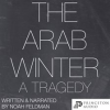The_Arab_Winter