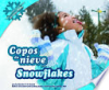 Copos_de_nieve