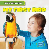 My_First_Bird