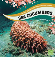 Sea_Cucumbers