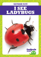 I_See_Ladybugs
