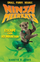 Escape_from_Ice_Mountain