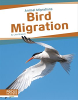 Bird_Migration