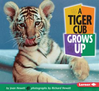 A_Tiger_Cub_Grows_Up