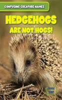 Hedgehogs_Are_Not_Hogs_