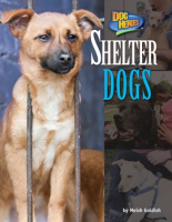 Shelter_Dogs