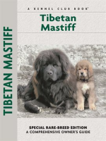 Tibetan_Mastiff