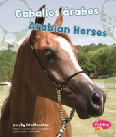 Caballos___rabes_Arabian_Horses