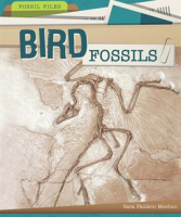 Bird_Fossils