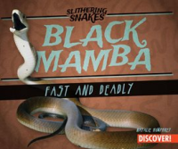 Black_Mamba__Fast_and_Deadly