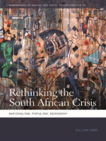 Rethinking_the_South_African_Crisis