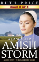 A_Lancaster_Amish_Storm