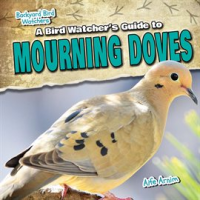 A_Bird_Watcher_s_Guide_to_Mourning_Doves