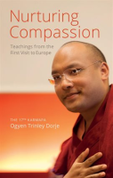 Nurturing_Compassion