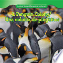 A_Penguin_Colony___Una_colonia_de_Ping__inos