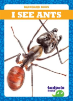 I_See_Ants