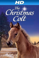 The_Christmas_colt