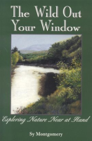 The_Wild_Out_Your_Window