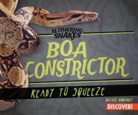Boa_Constrictor__Ready_to_Squeeze