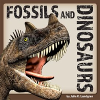 Fossils_and_Dinosurs