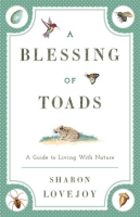 A_Blessing_of_Toads