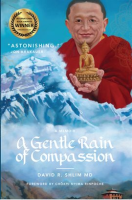 A_Gentle_Rain_of_Compassion