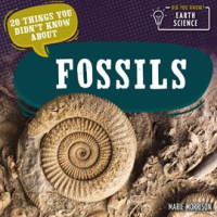 20_Things_You_Didn_t_Know_About_Fossils
