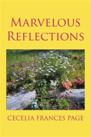 Marvelous_Reflections