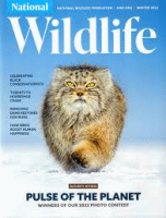 National_Wildlife_Magazine