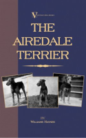 The_Airedale_Terrier