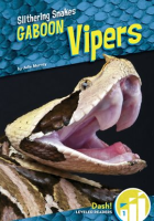 Gaboon_Vipers