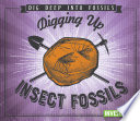 Digging_up_insect_fossils