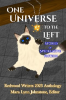 One_Universe_to_the_Left