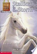 Stallion_in_the_storm