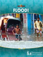 Flood_