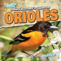 A_Bird_Watcher_s_Guide_to_Orioles