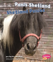 Ponis_Shetland_Shetland_Ponies