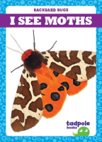 I_See_Moths