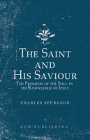 The_Saint_and_His_Saviour