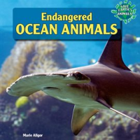 Endangered_Ocean_Animals