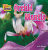 Orchid_Mantis