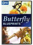Butterfly_blueprints