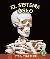 El_Sistema_Oseo