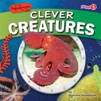 Clever_Creatures