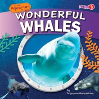 Wonderful_Whales