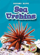 Sea_urchins
